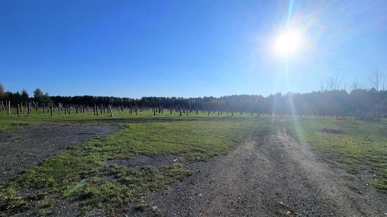 Auberge Du Vignoble Bromont Zewnętrze zdjęcie
