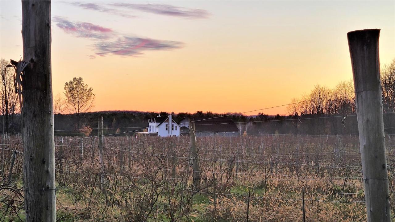 Auberge Du Vignoble Bromont Zewnętrze zdjęcie